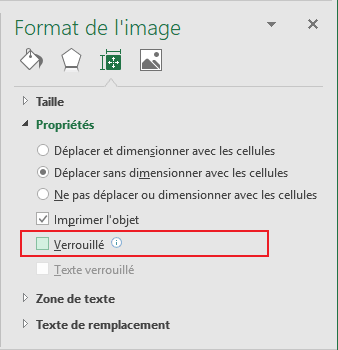 Verrouillé dans le volet Format de l'image Excel 2016