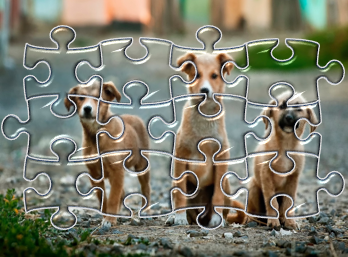 Puzzle avec image dans PowerPoint 365