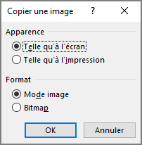 La boîte dialogue Copier une image dans Excel 365